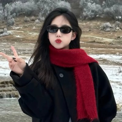 亚尔斯兰战记II